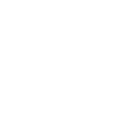 Fahrzeugtransport